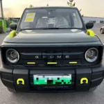 2026 Geely Panda Mini New Energy Small EV – Ships Worldwide From China | EVOVED