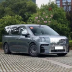 Zeekr 009  – For Sale From China  | EVOVED - Image 7