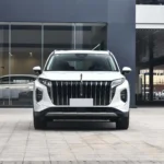 Hongqi HS7 – For Sale From China  | EVOVED