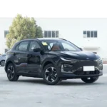Neta X 500 – For Sale From China | EVOVED - Image 5