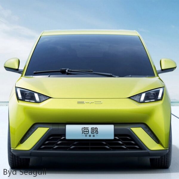BYD 2025 Honor Edition – For Sale From China | EVOVED