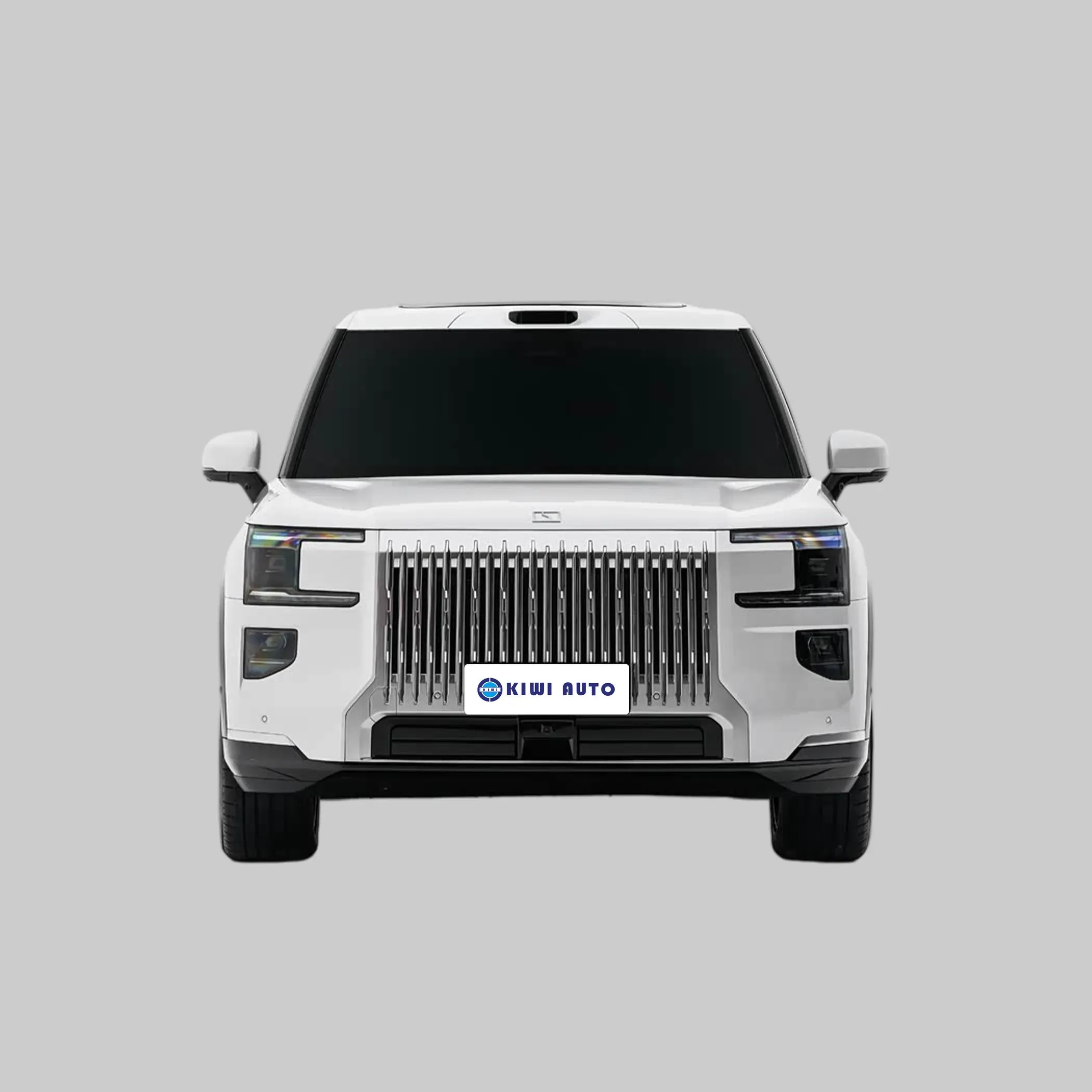 imgi_89_Zeekr-9X-Zeekr-Max-Ultra-Hyper-Version-Luxury-Large-MPV-2 Zeekr 9X – For Sale From China | EVOVED - Image 1